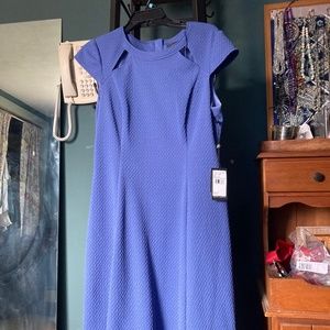 Wedding guest Dress Adrianna Papell